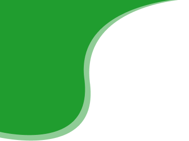shape
